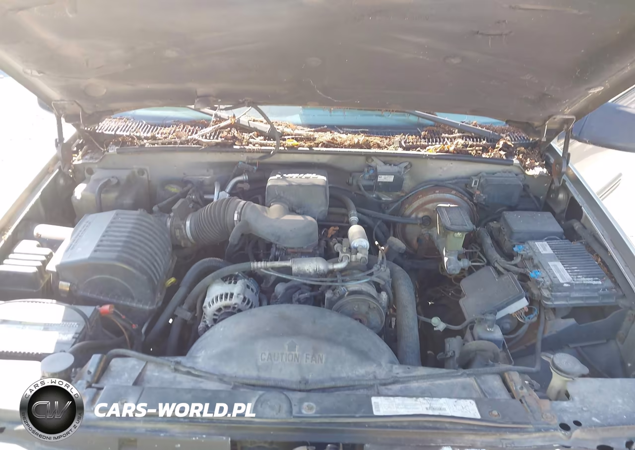 1999 Chevrolet Suburban 1500 Lt VIN:3GNFK16R9XG259213 - 10