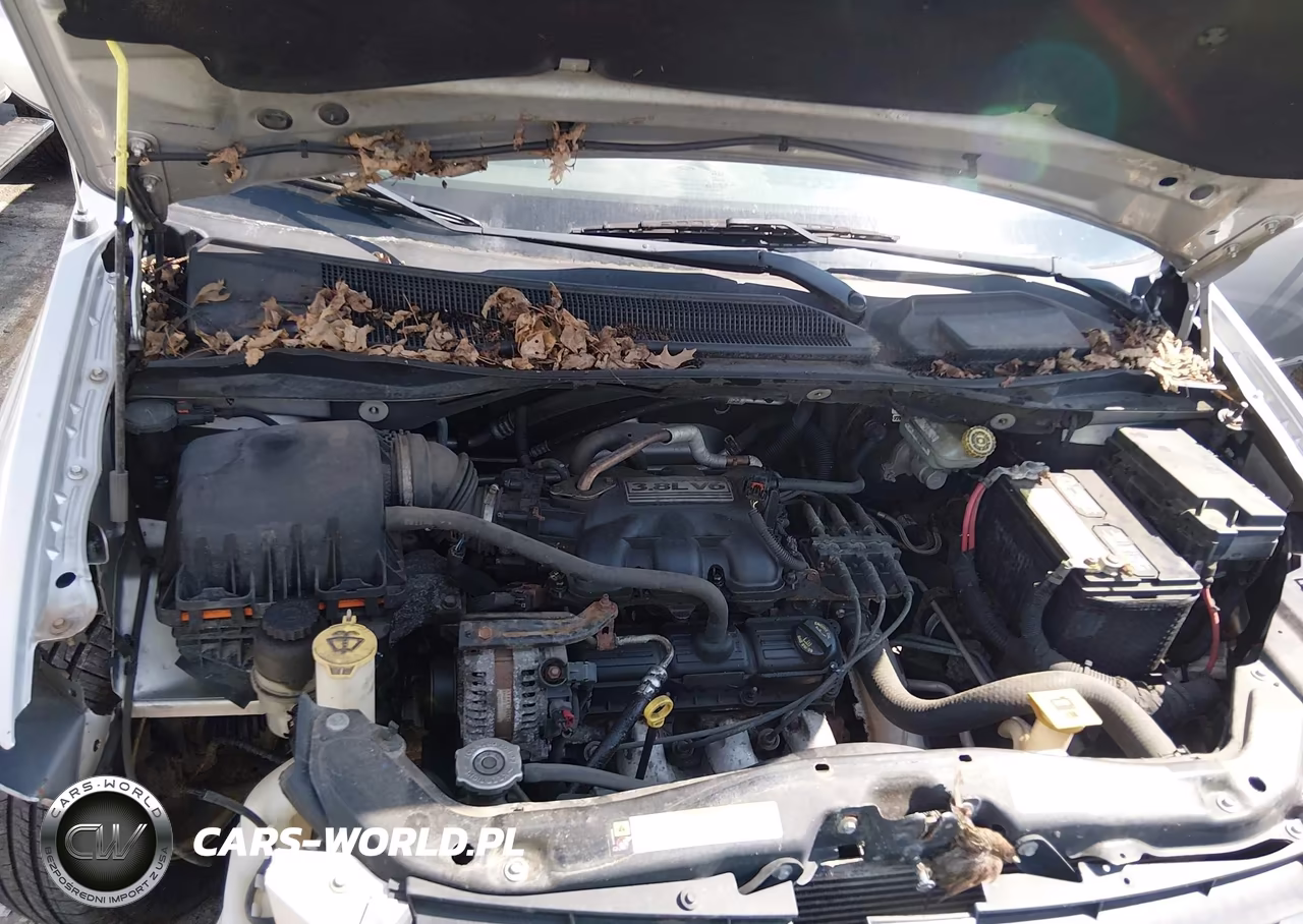 2009 Dodge Grand Caravan Sxt VIN:2D8HN54139R532898 - 10