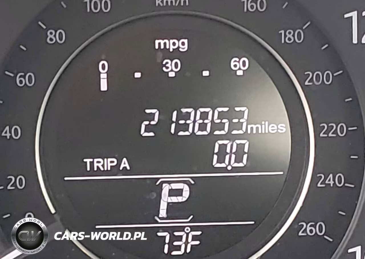 2013 Honda Accord Ex-L VIN:1HGCR2F87DA263101 - 15