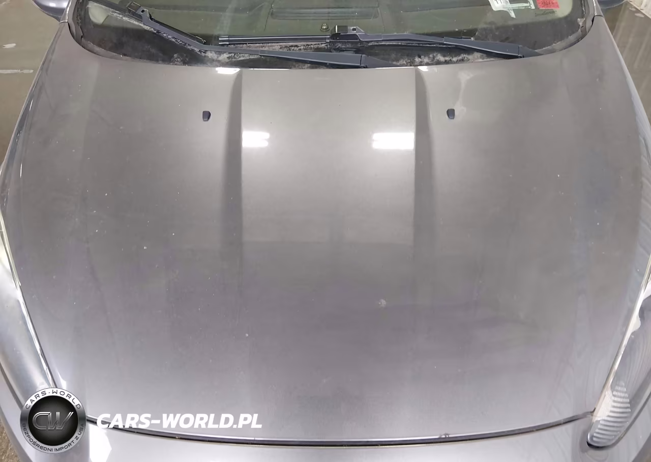 2014 Ford Fiesta Se VIN:3FADP4EJ5EM105925 - 10