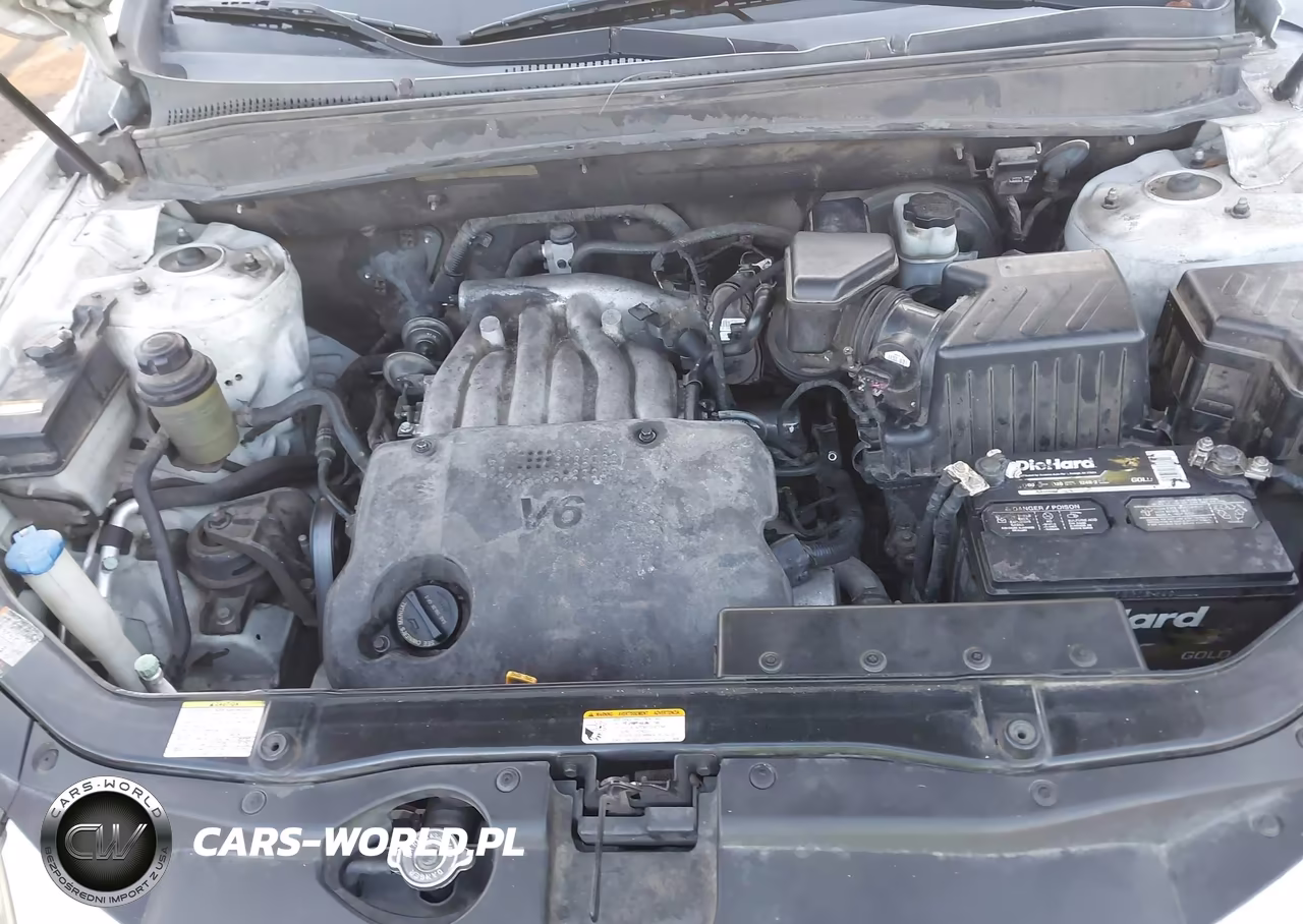 2009 Hyundai Santa Fe Gls VIN:5NMSG13DX9H253820 - 10
