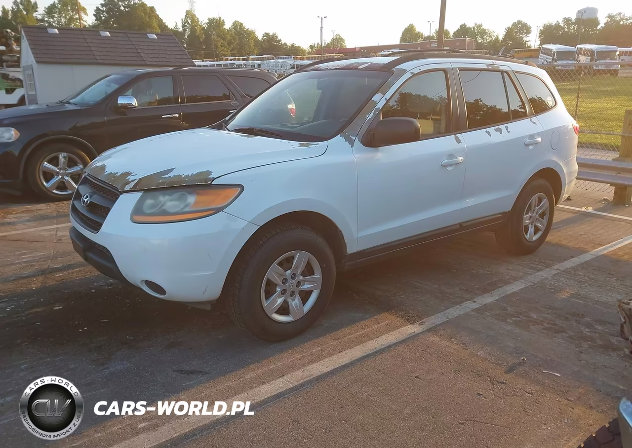 2009 Hyundai Santa Fe Gls VIN:5NMSG13DX9H253820 - 2