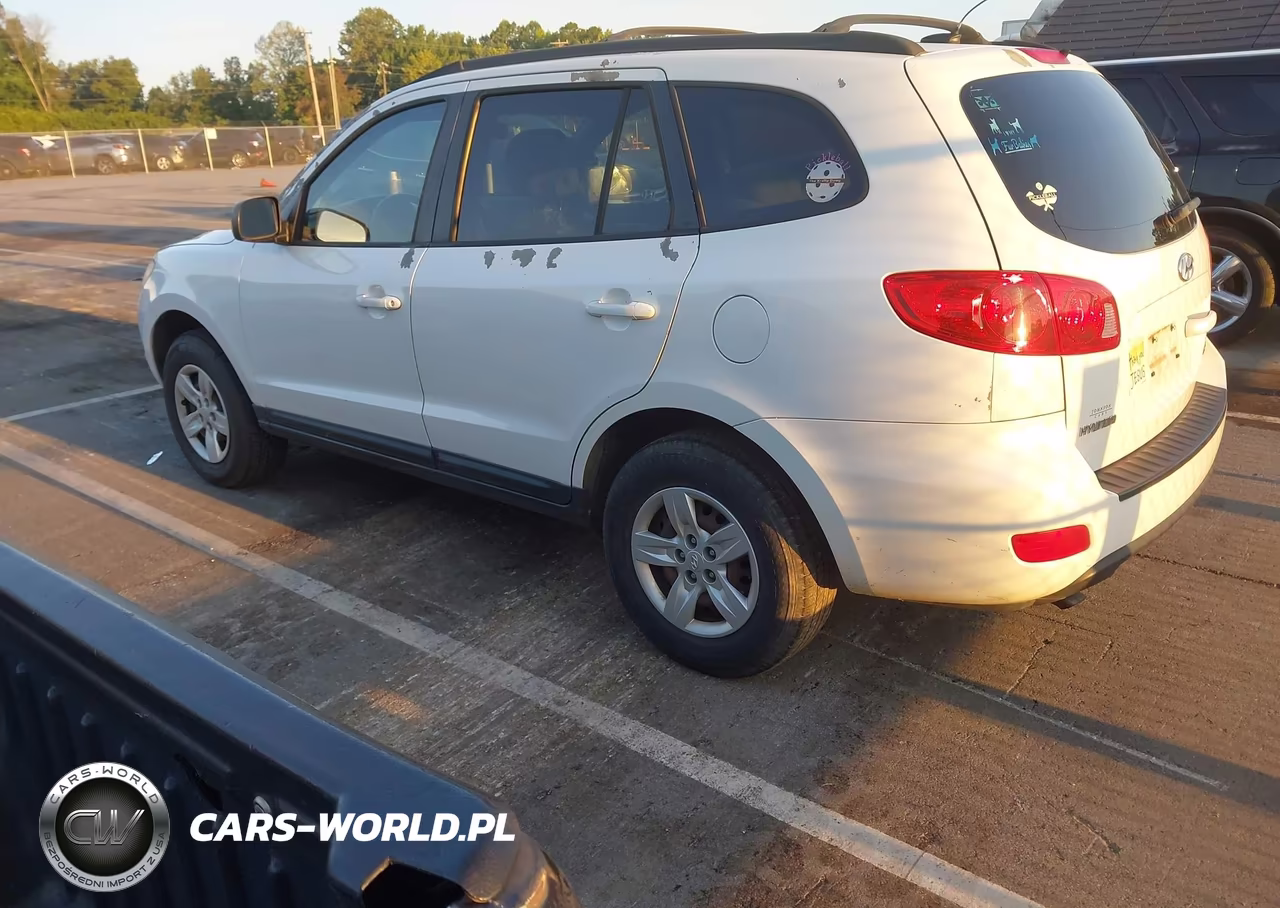 2009 Hyundai Santa Fe Gls VIN:5NMSG13DX9H253820 - 3