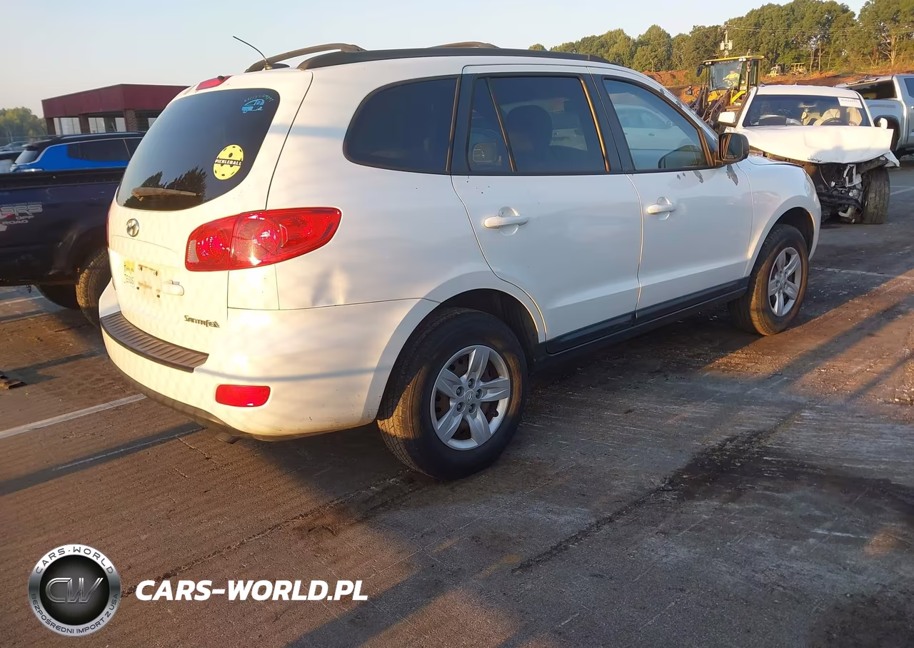 2009 Hyundai Santa Fe Gls VIN:5NMSG13DX9H253820 - 4