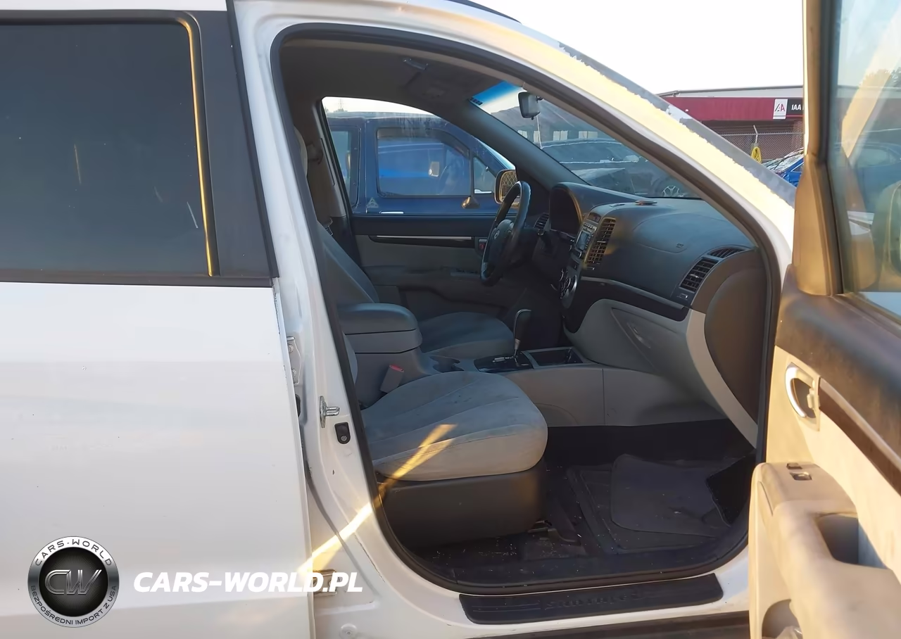 2009 Hyundai Santa Fe Gls VIN:5NMSG13DX9H253820 - 5