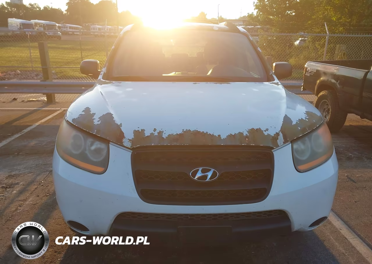 2009 Hyundai Santa Fe Gls VIN:5NMSG13DX9H253820 - 6