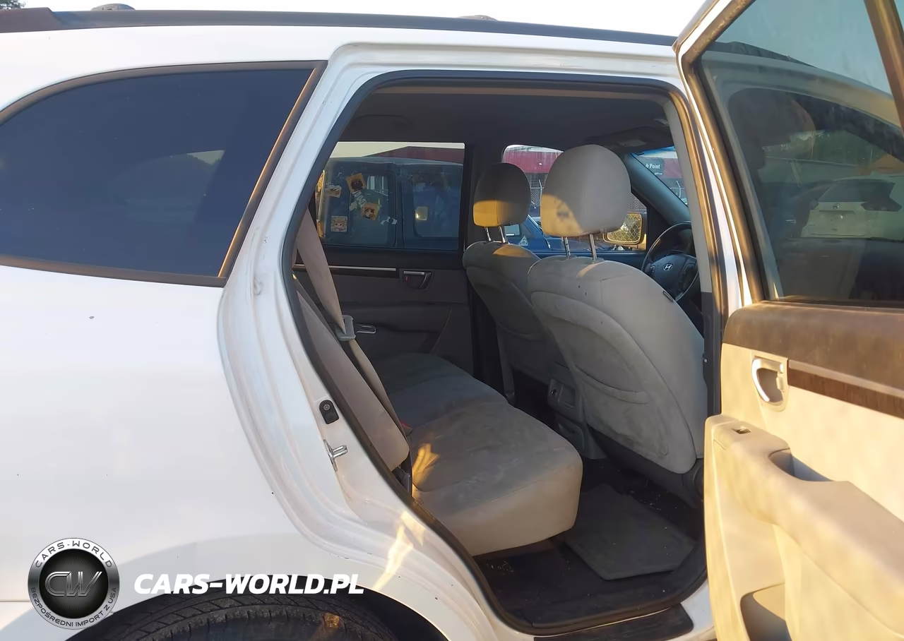 2009 Hyundai Santa Fe Gls VIN:5NMSG13DX9H253820 - 8