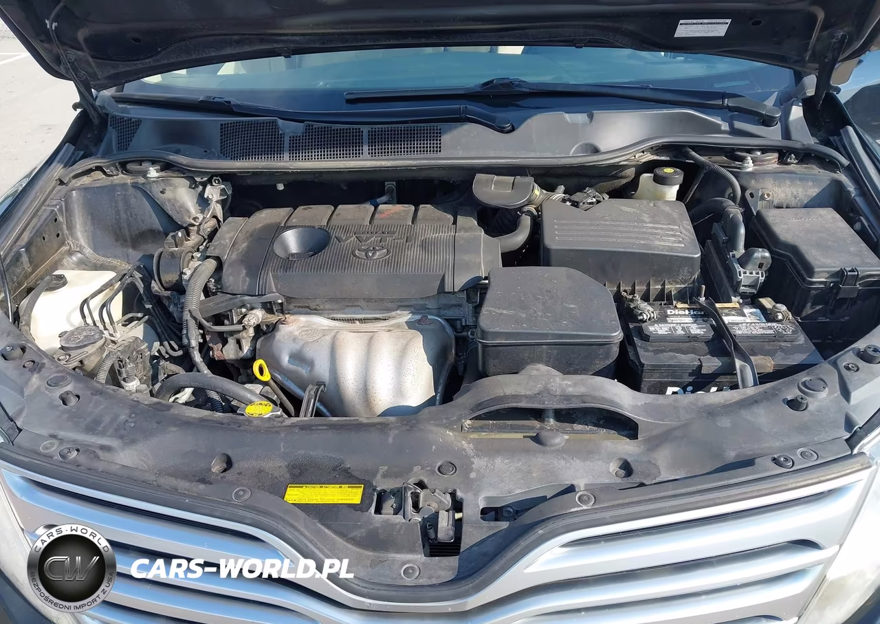 2010 Toyota Venza VIN:4T3ZA3BB8AU024273 - 10