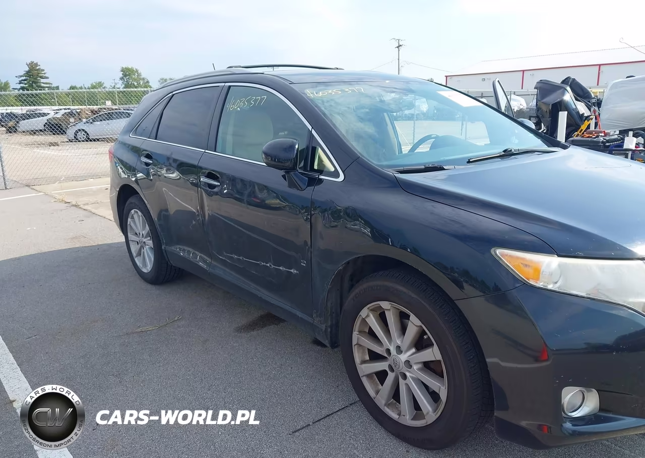 2010 Toyota Venza VIN:4T3ZA3BB8AU024273 - 6