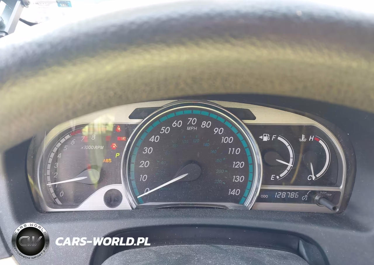 2010 Toyota Venza VIN:4T3ZA3BB8AU024273 - 7