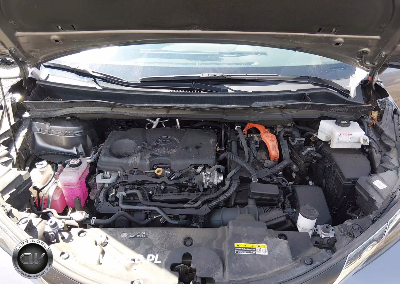 2024 Toyota Sienna Xle VIN:5TDYSKFC9RS117841 - 10