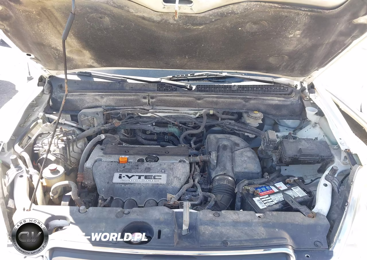 2006 Honda Cr-V Se VIN:JHLRD78906C040273 - 10