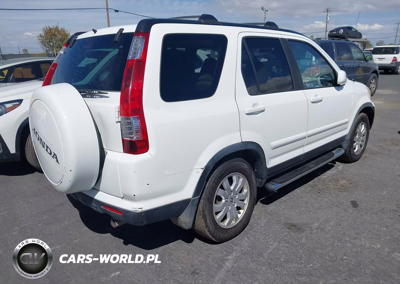 2006 Honda Cr-V Se VIN:JHLRD78906C040273 - 4