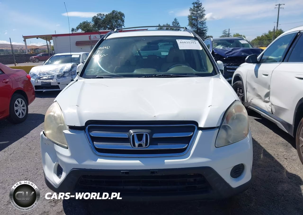 2006 Honda Cr-V Se VIN:JHLRD78906C040273 - 6