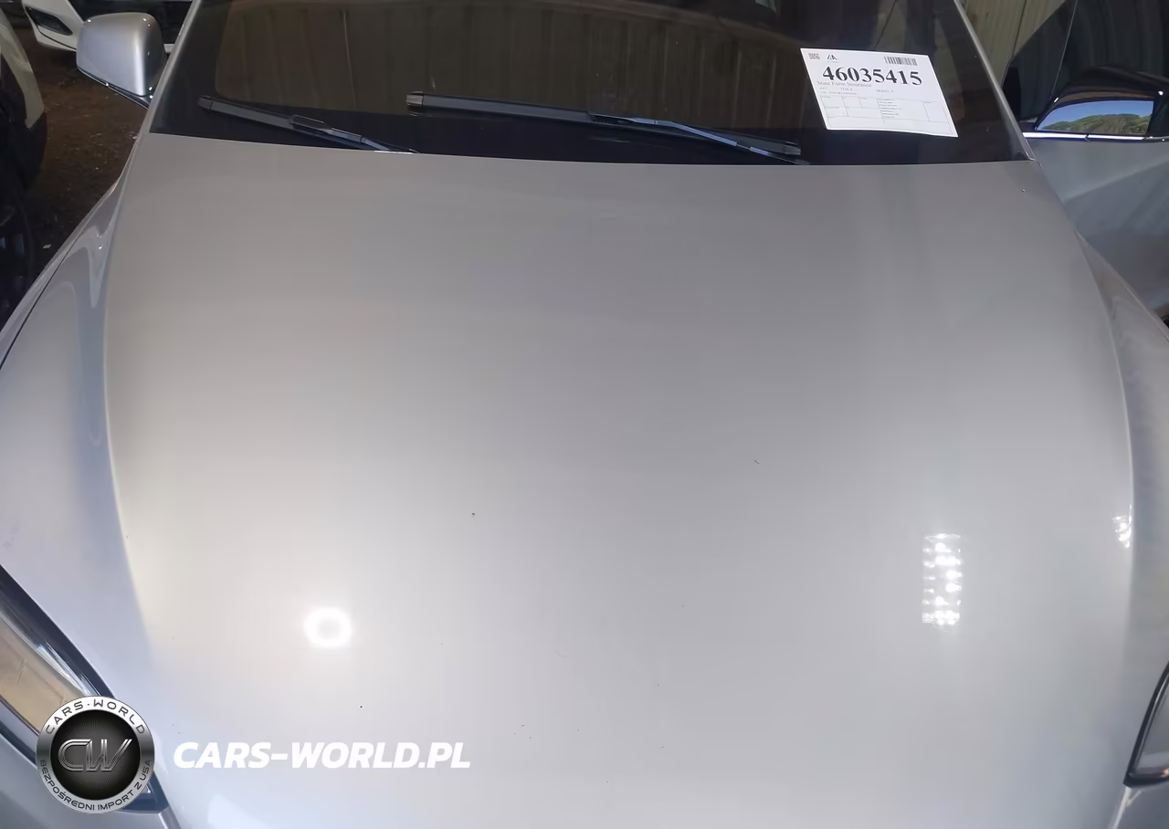 2017 Tesla Model X 100D-75D-90D VIN:5YJXCBE21HF054318 - 10