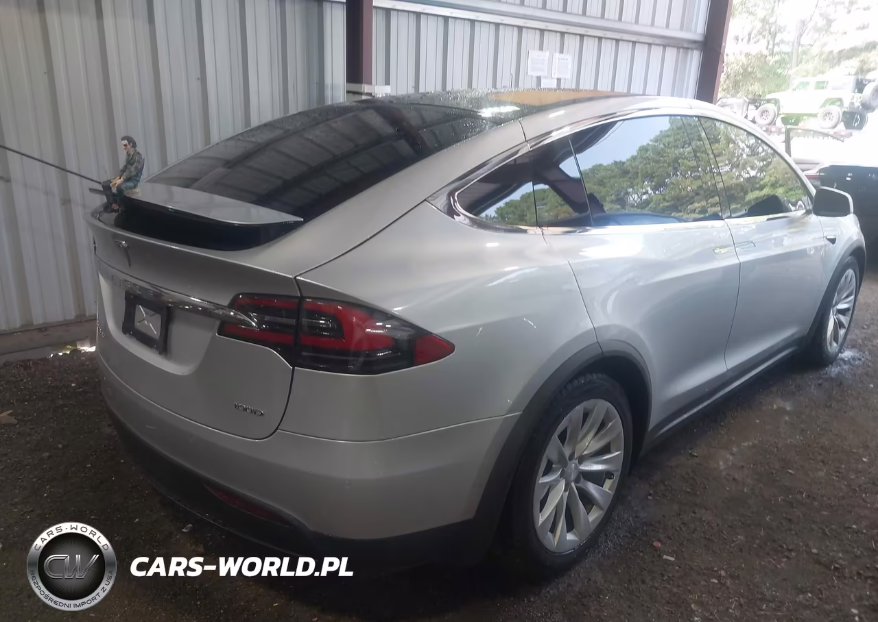 2017 Tesla Model X 100D-75D-90D VIN:5YJXCBE21HF054318 - 4