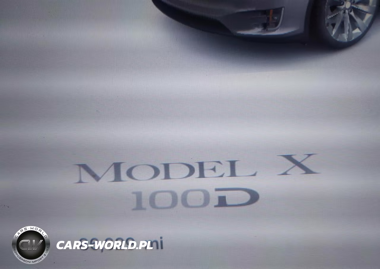 2017 Tesla Model X 100D-75D-90D VIN:5YJXCBE21HF054318 - 7