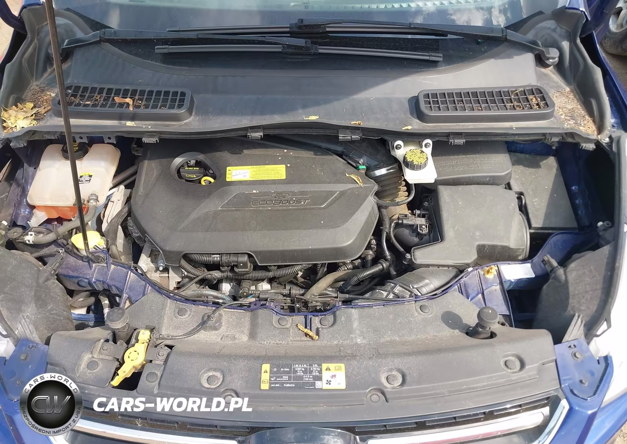 2013 Ford Escape Sel VIN:1FMCU0HX6DUD67465 - 10