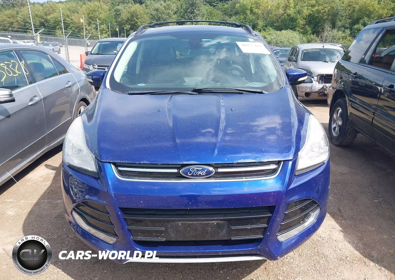 2013 Ford Escape Sel VIN:1FMCU0HX6DUD67465 - 12
