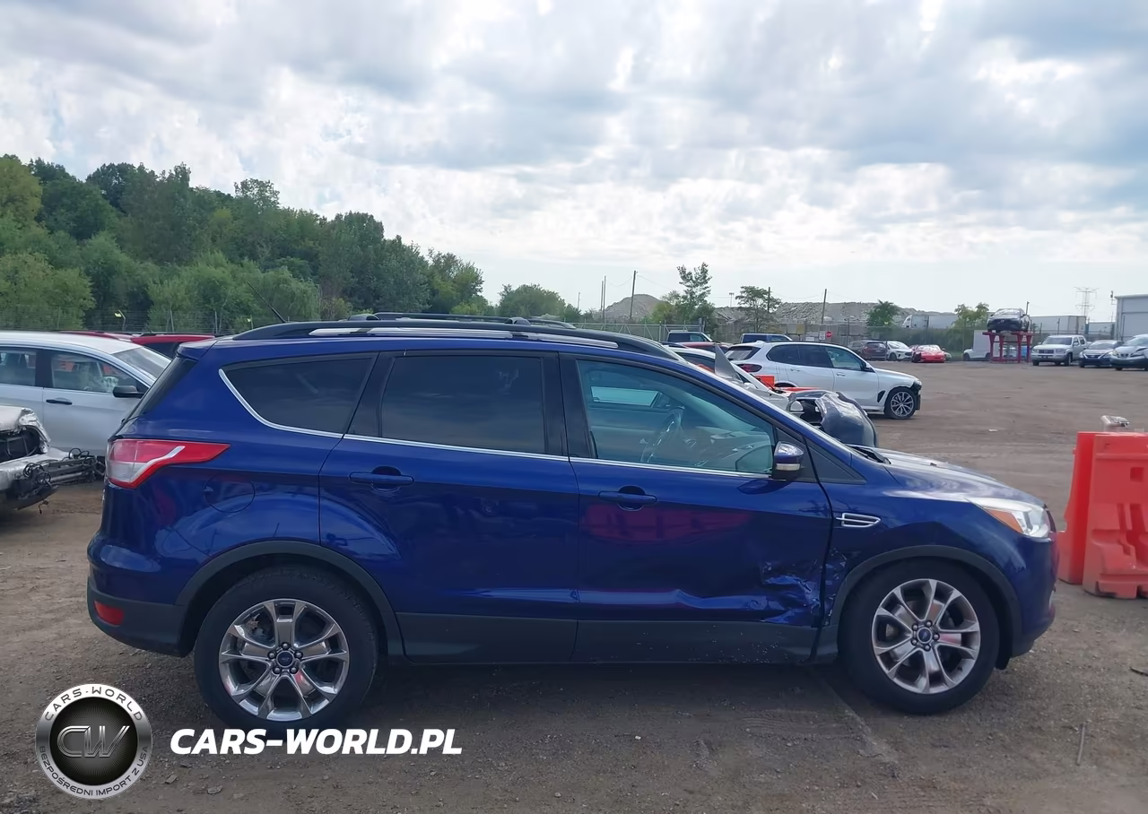 2013 Ford Escape Sel VIN:1FMCU0HX6DUD67465 - 13