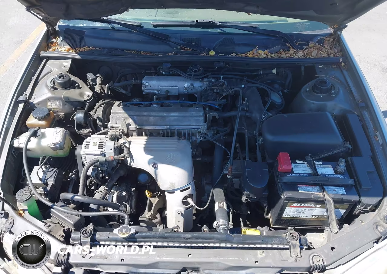 1998 Toyota Camry Le VIN:JT2BG22K7W0248519 - 10