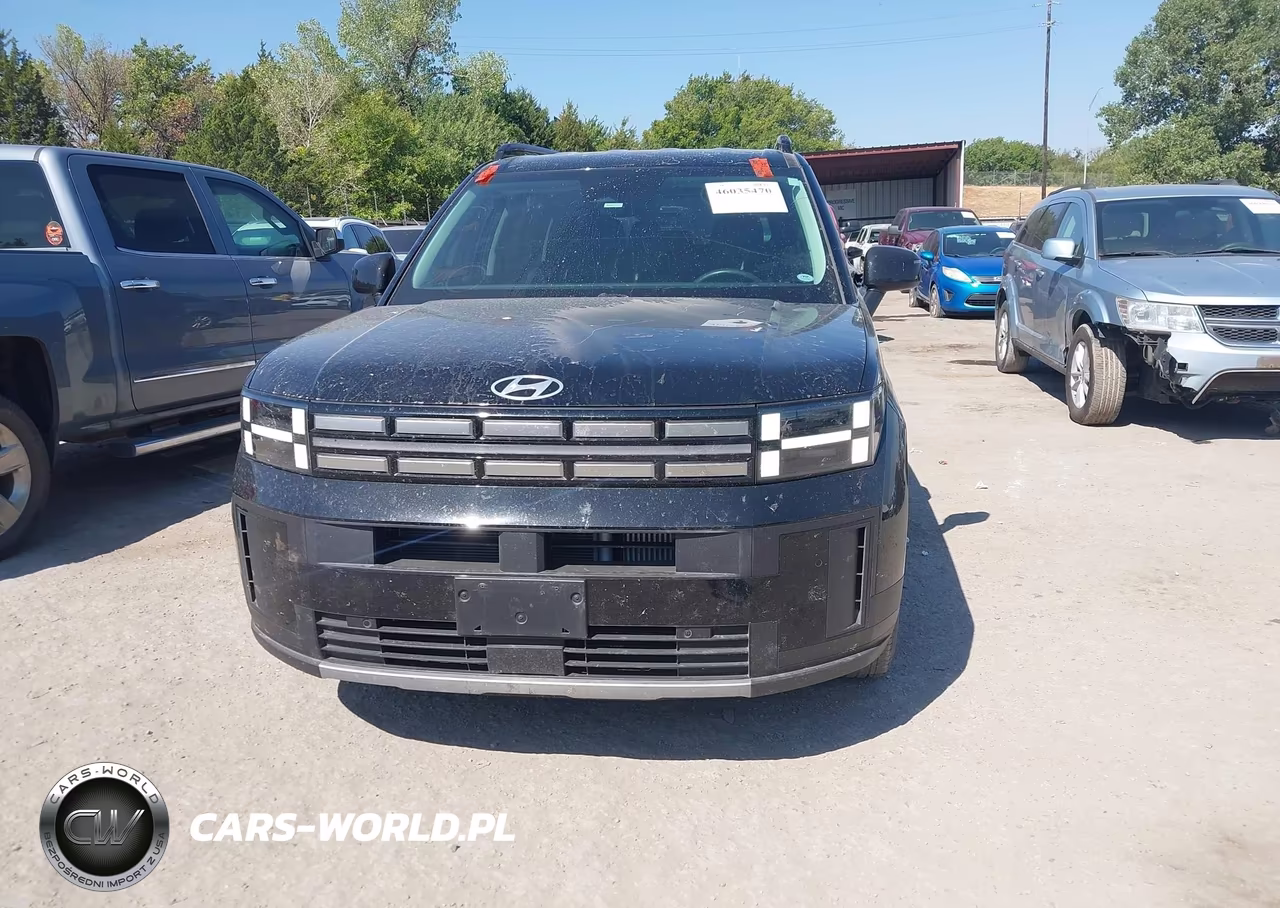 2024 Hyundai Santa Fe Sel VIN:5NMP24GLXRH003131 - 12