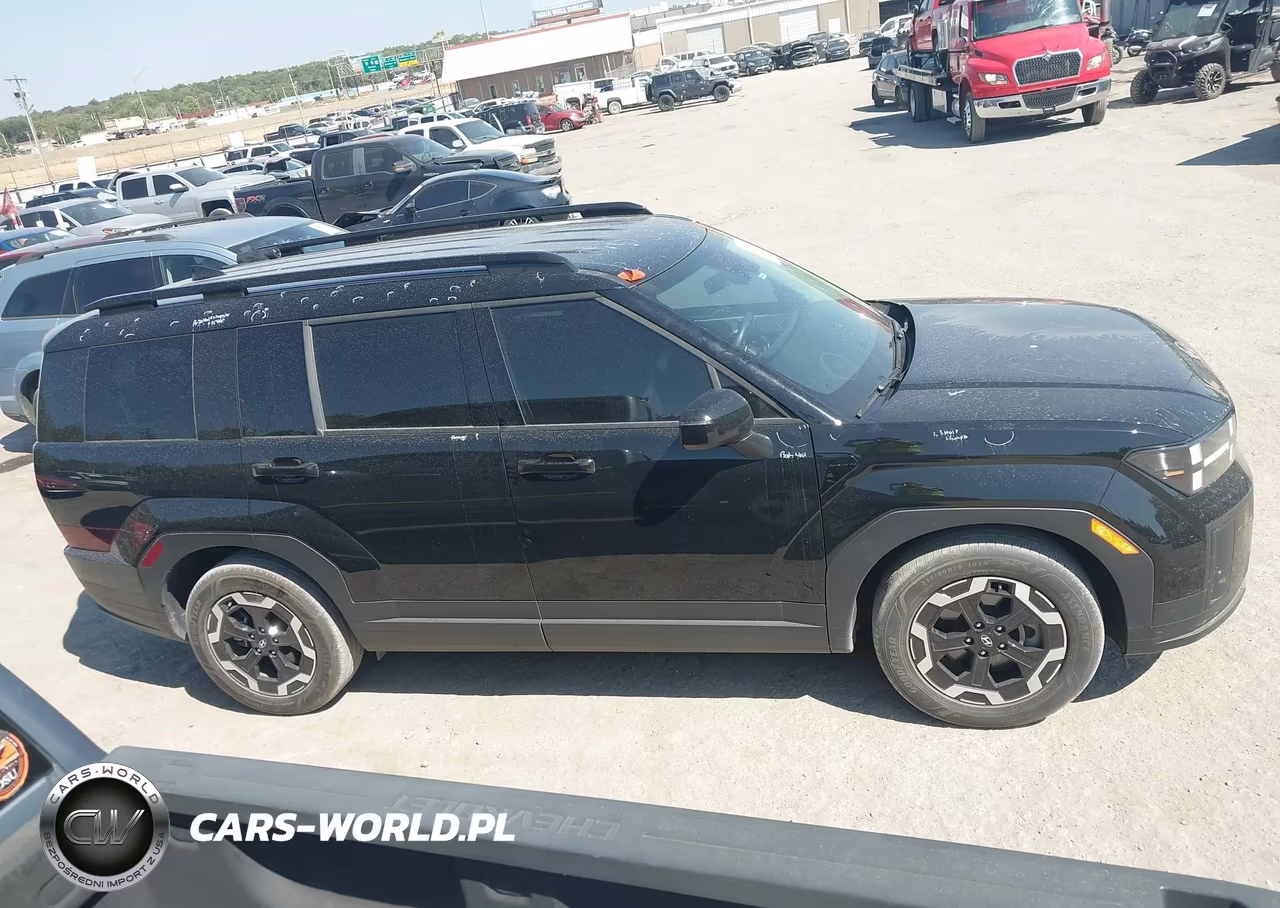 2024 Hyundai Santa Fe Sel VIN:5NMP24GLXRH003131 - 13