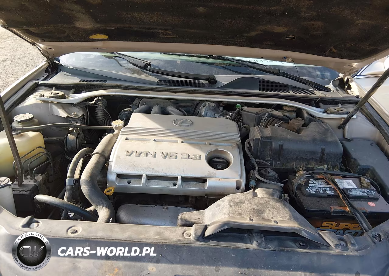 2004 Lexus Es 330 VIN:JTHBA30G145037196 - 10
