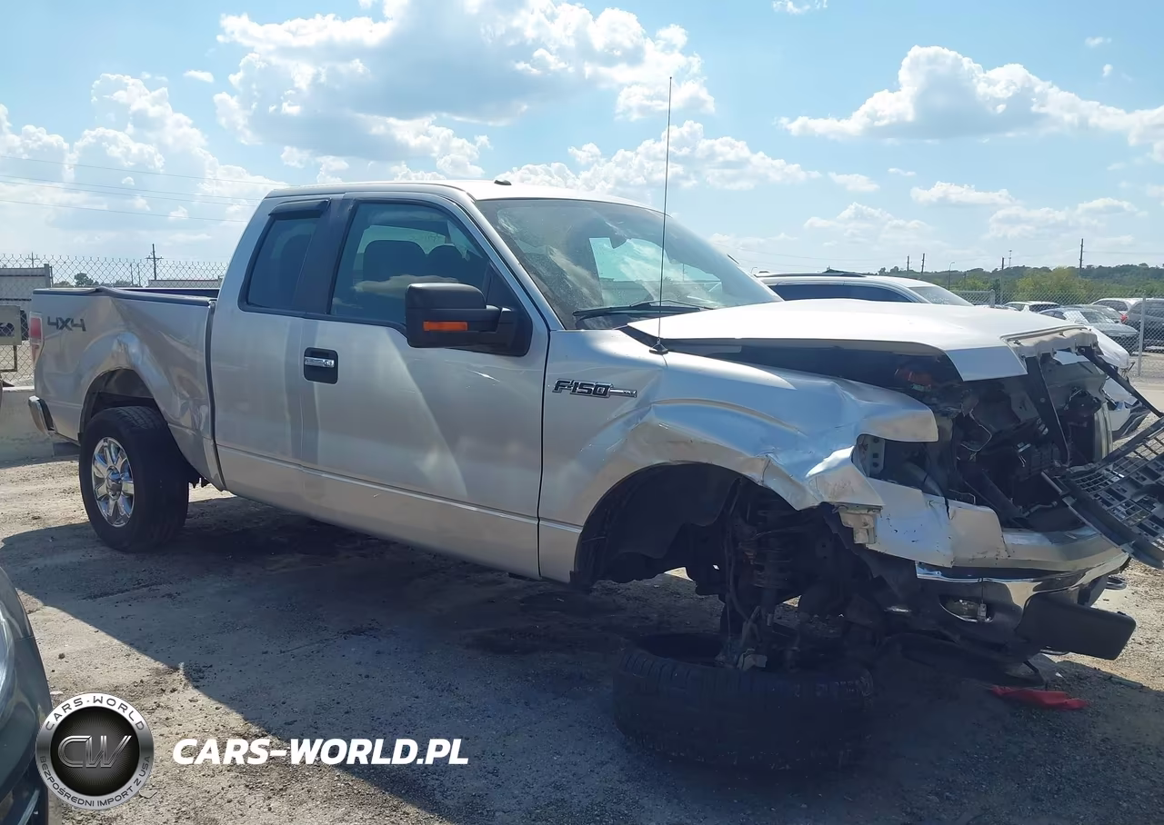 2014 Ford F-150 Xlt VIN:1FTFX1EFXEFD08970 - 12