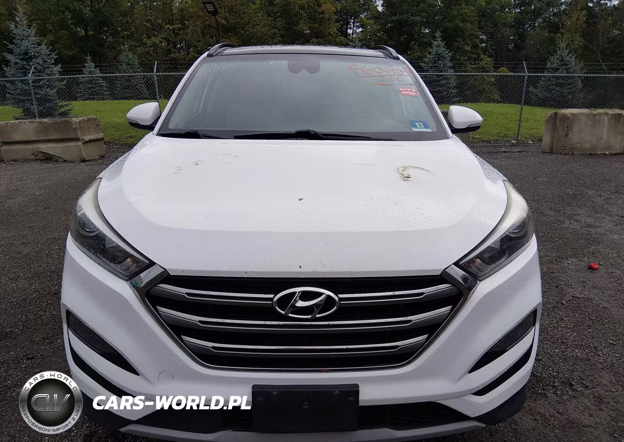 2017 Hyundai Tucson Limited VIN:KM8J3CA26HU280181 - 12