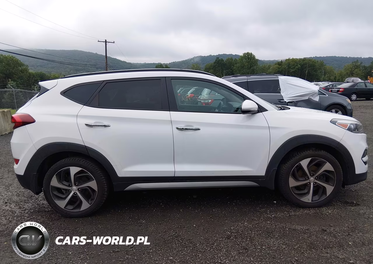 2017 Hyundai Tucson Limited VIN:KM8J3CA26HU280181 - 13