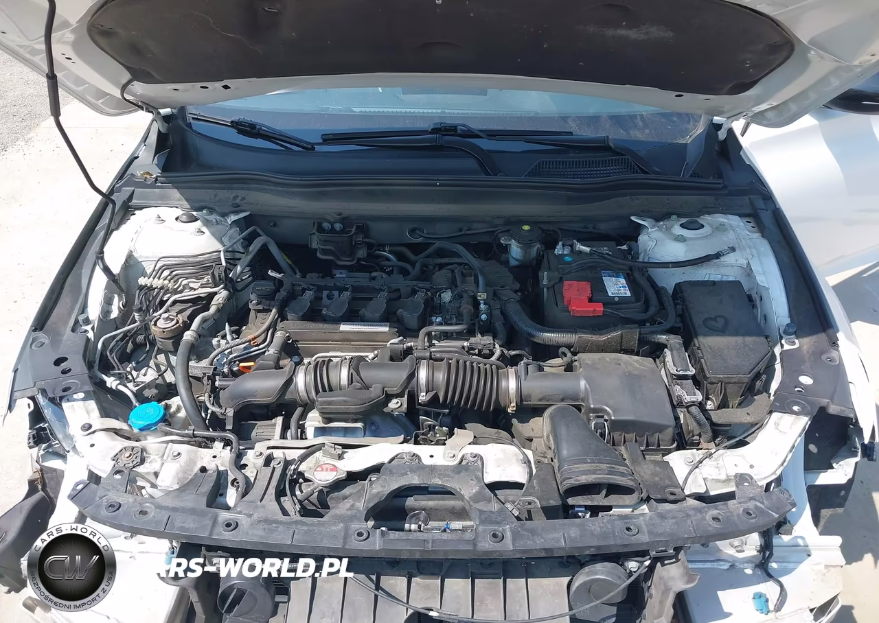 2019 Honda Accord Lx VIN:1HGCV1F10KA017075 - 10
