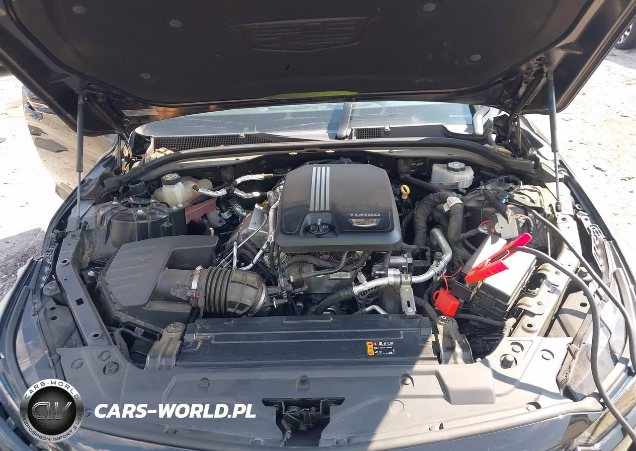 2020 Cadillac Ct5 Luxury VIN:1G6DW5RKXL0147841 - 10