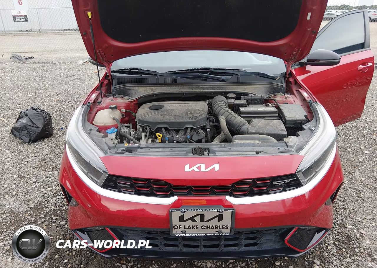 2022 Kia Forte Gt VIN:3KPF44ACXNE424721 - 10