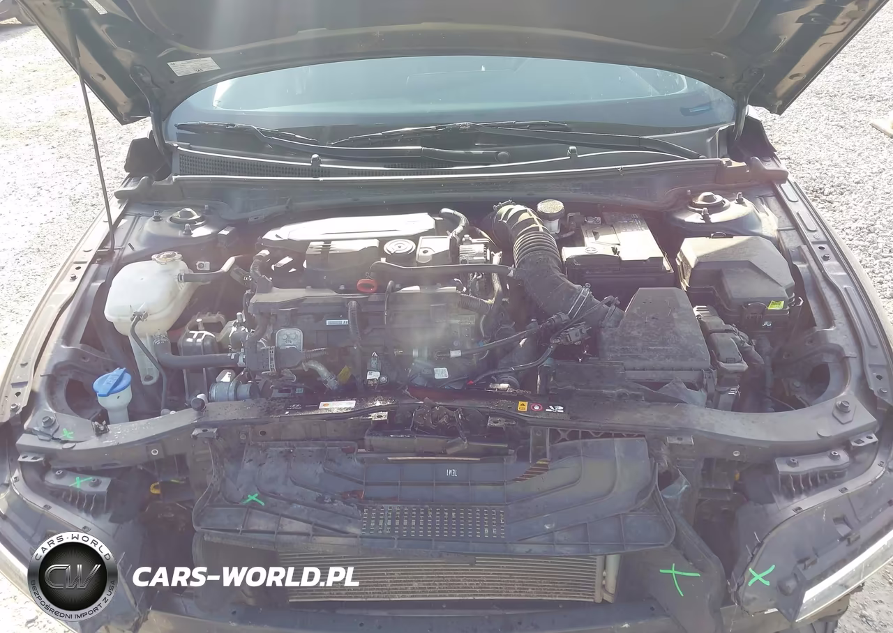 2024 Hyundai Elantra N Line VIN:KMHLR4DF3RU815447 - 10