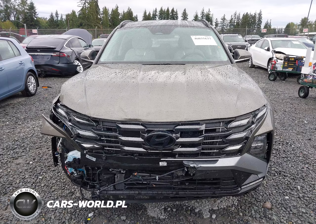 2025 Hyundai Tucson Hybrid Limited VIN:KM8JEDD11SU384605 - 13