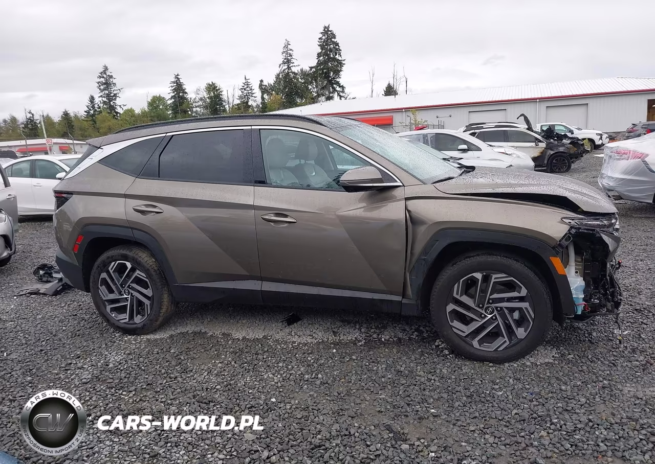 2025 Hyundai Tucson Hybrid Limited VIN:KM8JEDD11SU384605 - 14