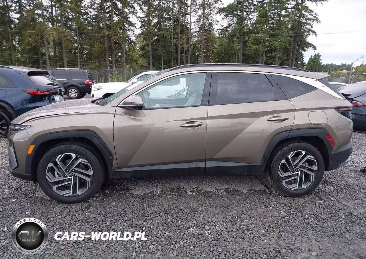 2025 Hyundai Tucson Hybrid Limited VIN:KM8JEDD11SU384605 - 15