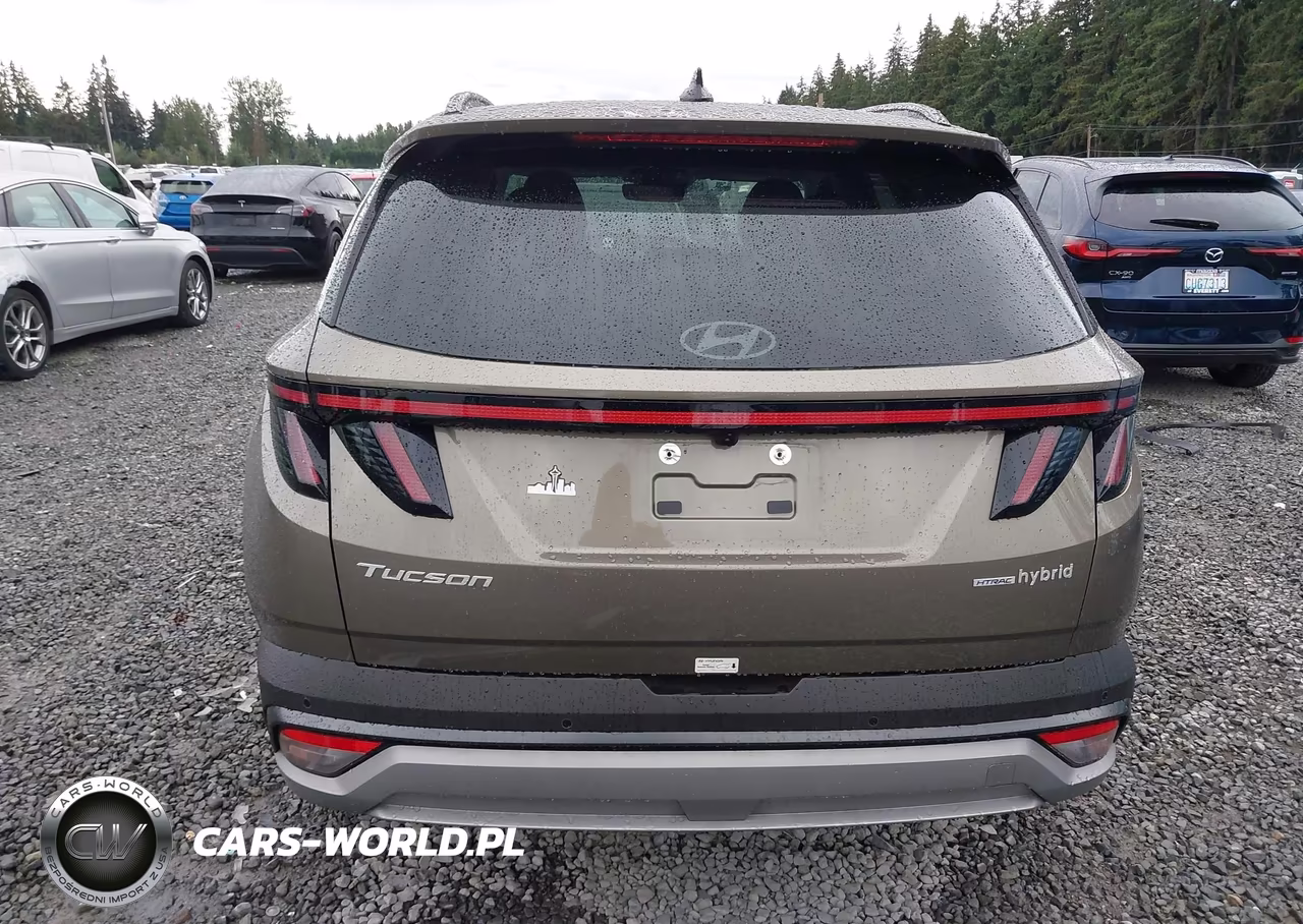 2025 Hyundai Tucson Hybrid Limited VIN:KM8JEDD11SU384605 - 17