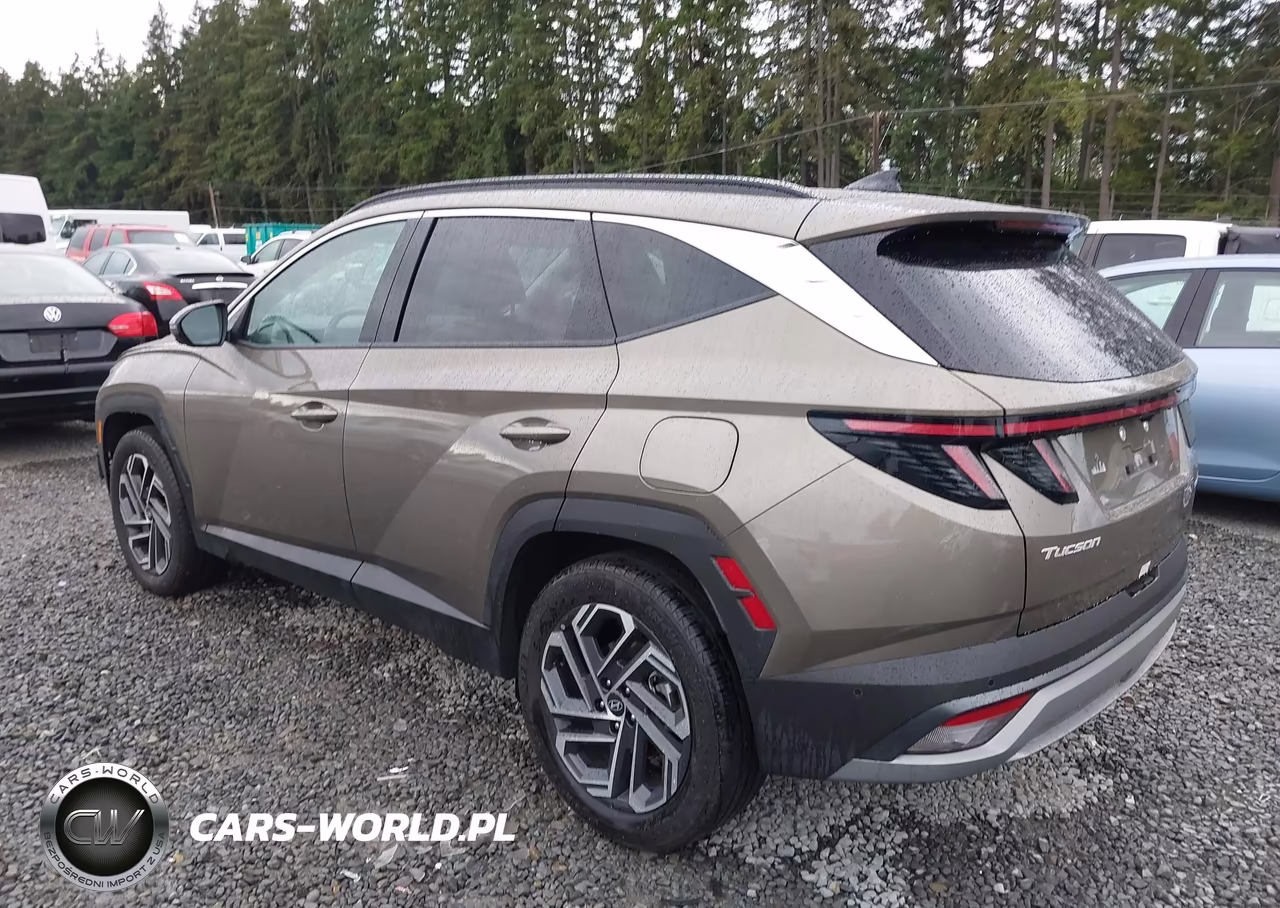 2025 Hyundai Tucson Hybrid Limited VIN:KM8JEDD11SU384605 - 3