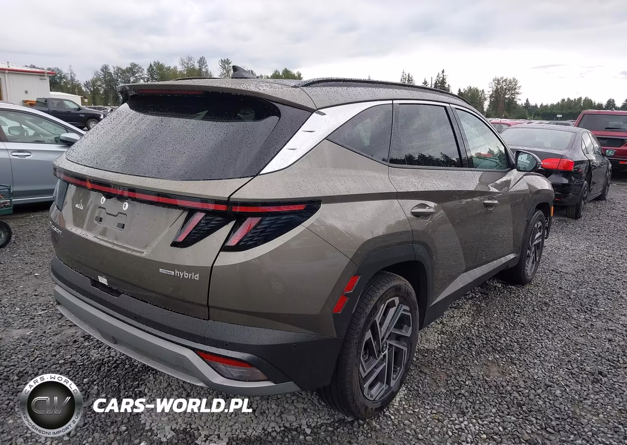 2025 Hyundai Tucson Hybrid Limited VIN:KM8JEDD11SU384605 - 4