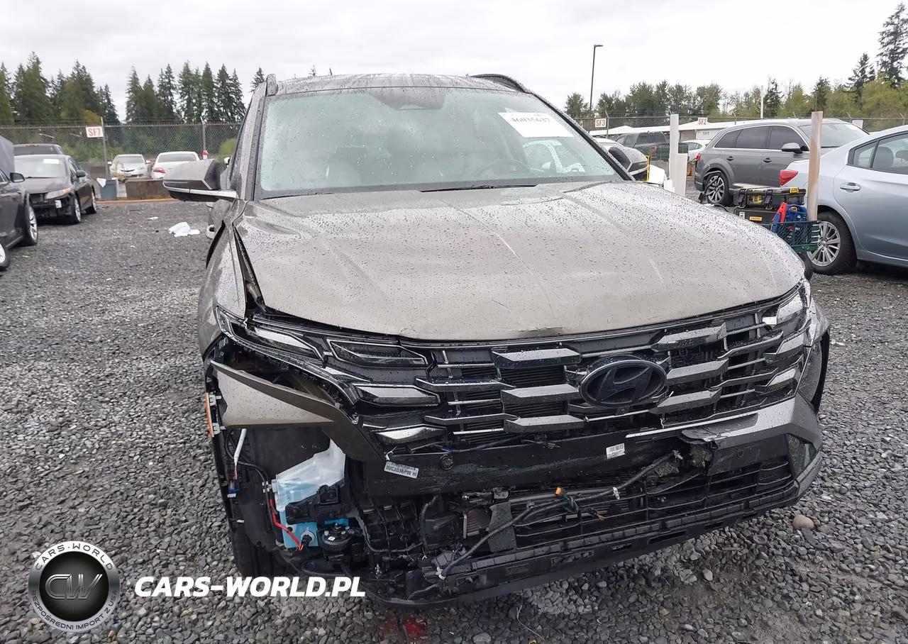 2025 Hyundai Tucson Hybrid Limited VIN:KM8JEDD11SU384605 - 6
