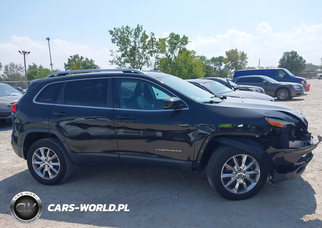 2014 Jeep Cherokee Limited VIN:1C4PJMDS1EW129061 - 12