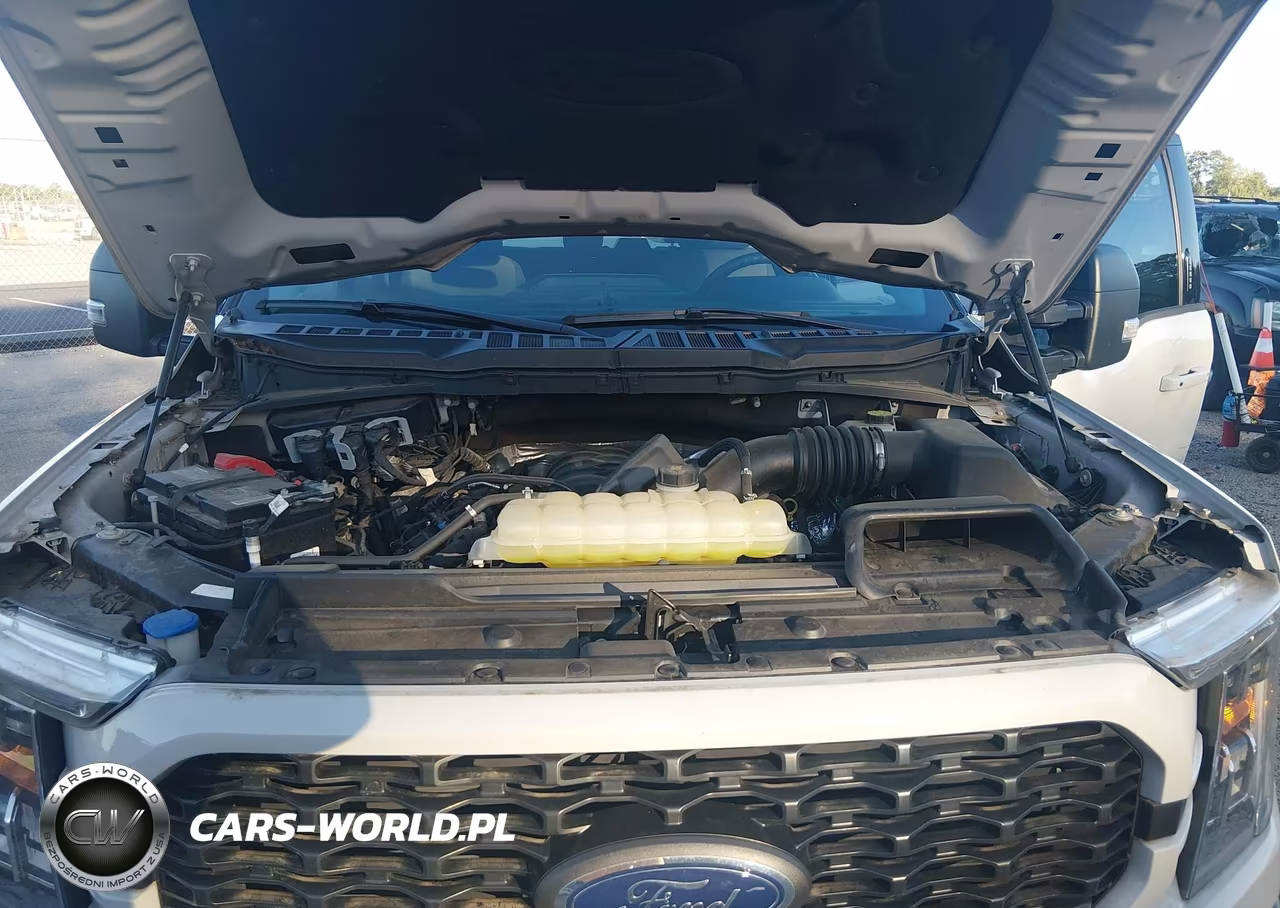 2023 Ford F-150 Xlt VIN:1FTFW1E57PKE50908 - 10