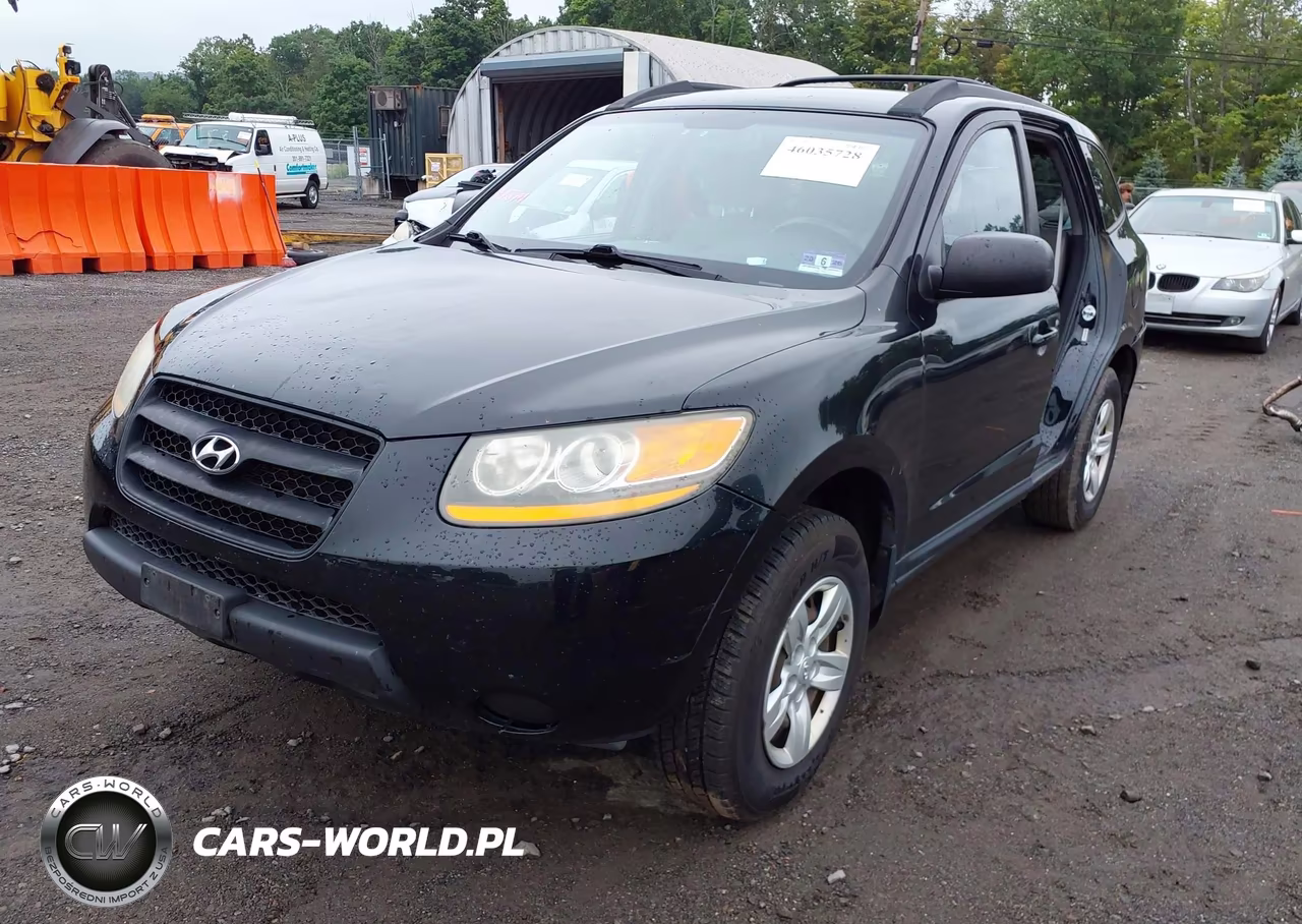 2009 Hyundai Santa Fe Gls VIN:5NMSG13D39H254288 - 2