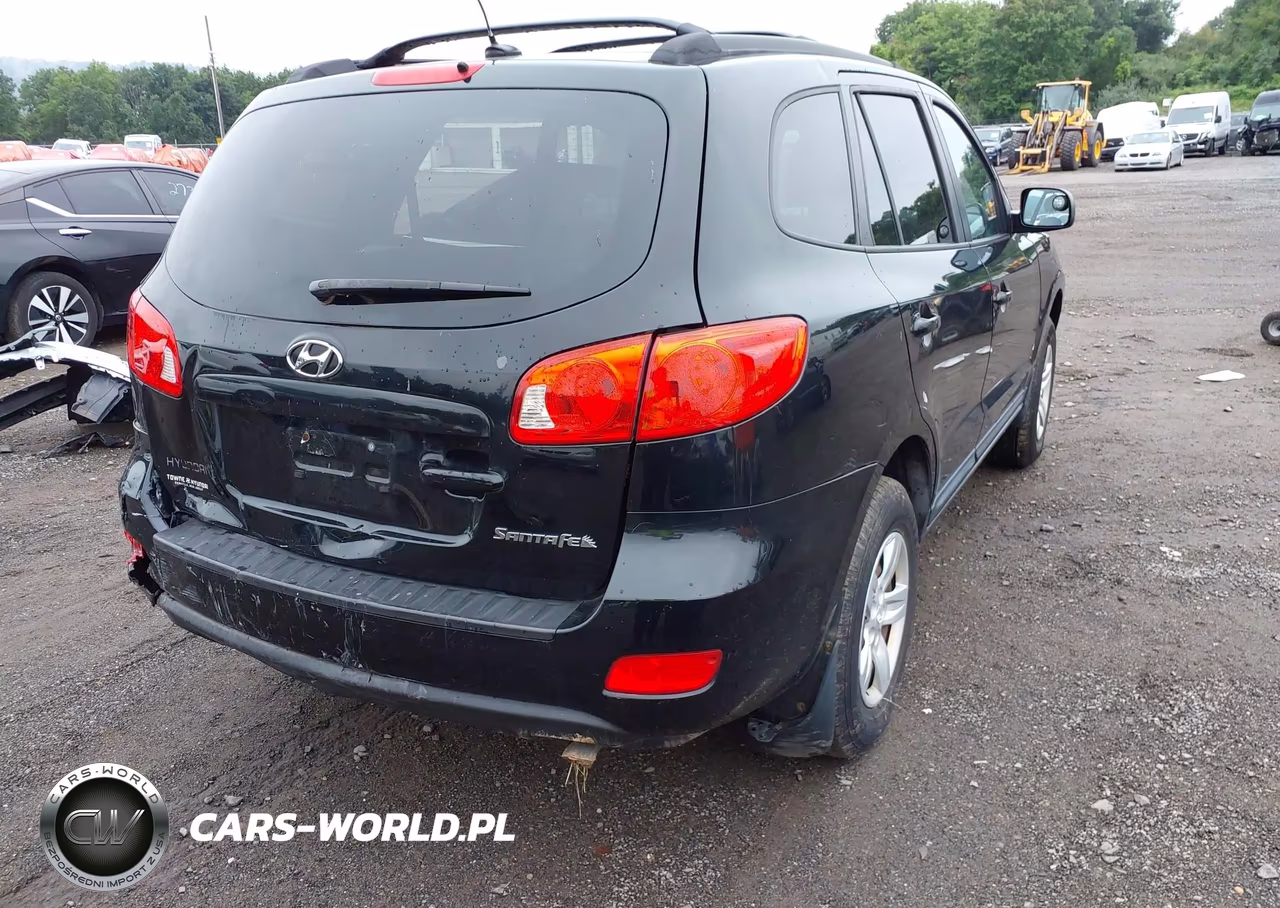 2009 Hyundai Santa Fe Gls VIN:5NMSG13D39H254288 - 4