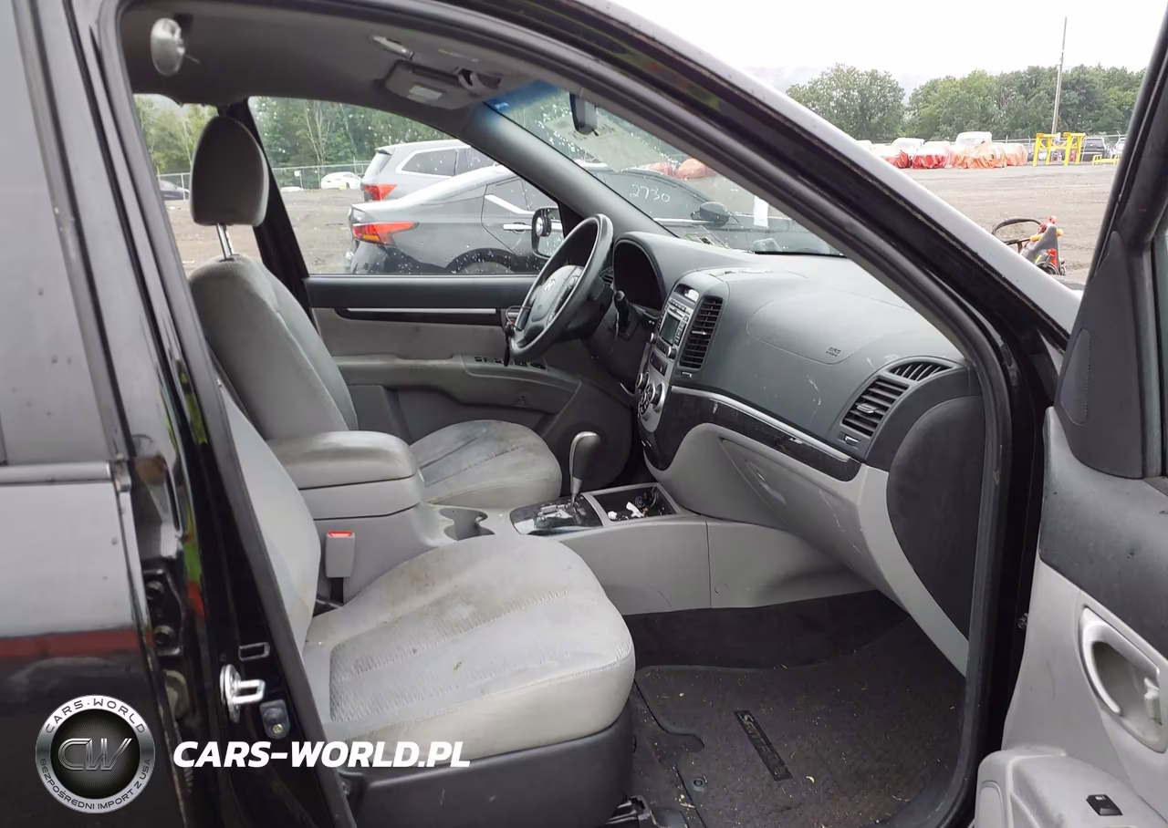 2009 Hyundai Santa Fe Gls VIN:5NMSG13D39H254288 - 5