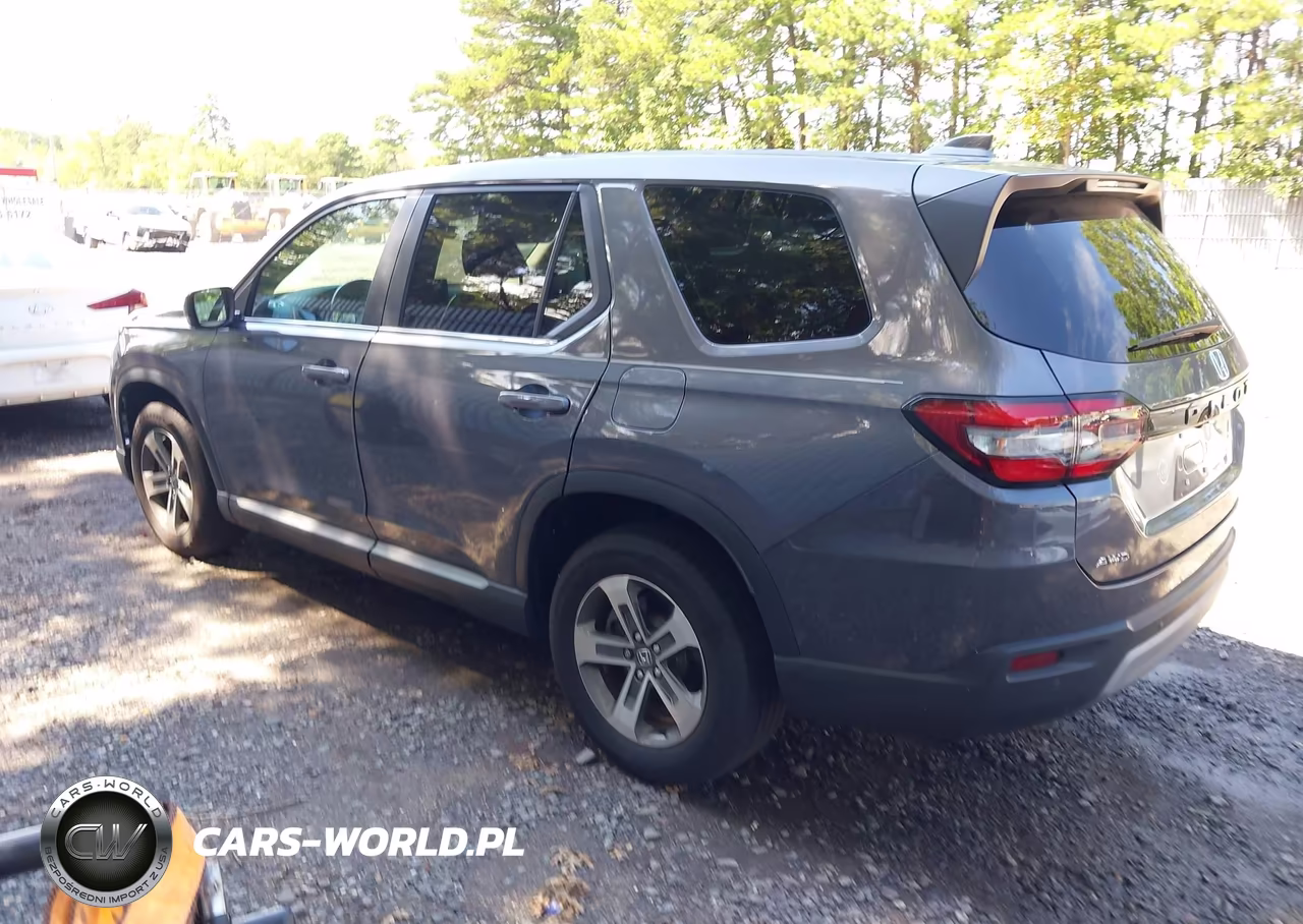 2024 Honda Pilot Ex-L VIN:5FNYG1H41RB033079 - 3