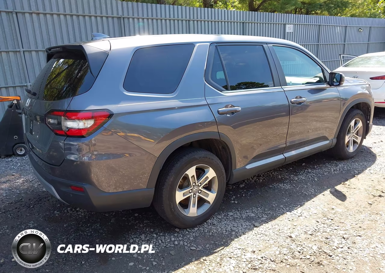 2024 Honda Pilot Ex-L VIN:5FNYG1H41RB033079 - 4