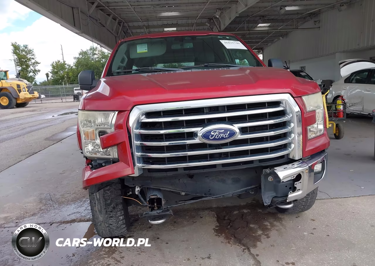 2015 Ford F-150 Xlt VIN:1FTFX1EF9FKD93874 - 12